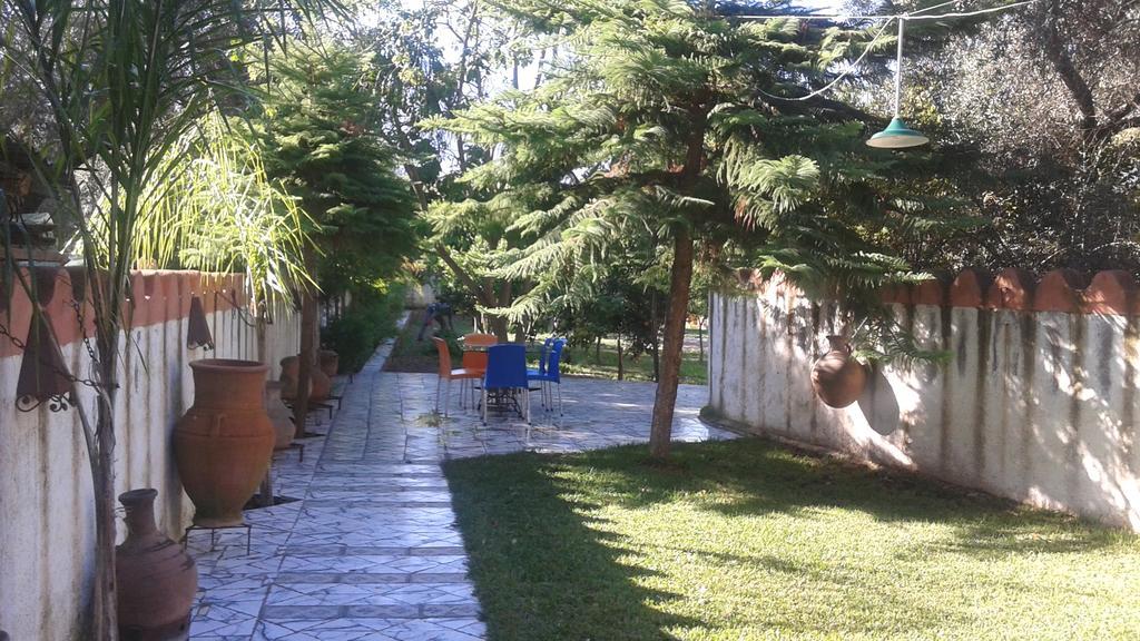تيموليلت Maison D'Hotes Ait Bou Izryane المظهر الخارجي الصورة